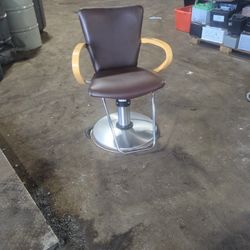 Hair Salon Chairs