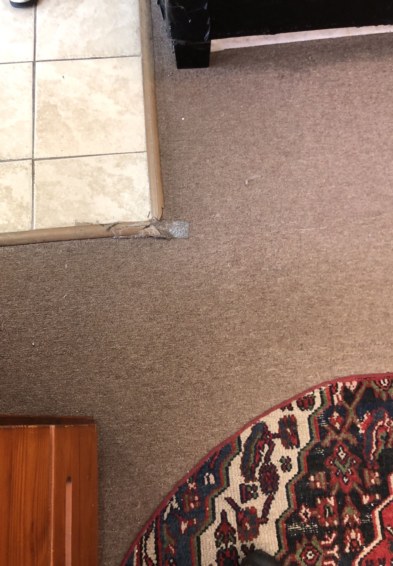 Rug. Red Blend. Beautiful Colors. Deep Plush. $250. OBO. Red Blend