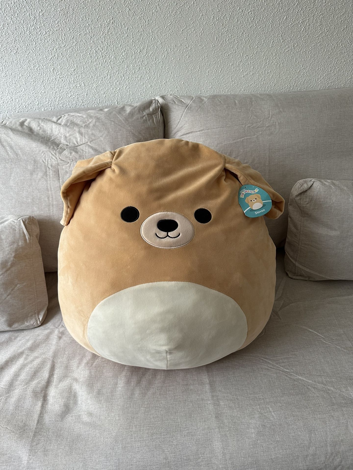Squishmallows Stevon the Dog Plush Stuffed Animal