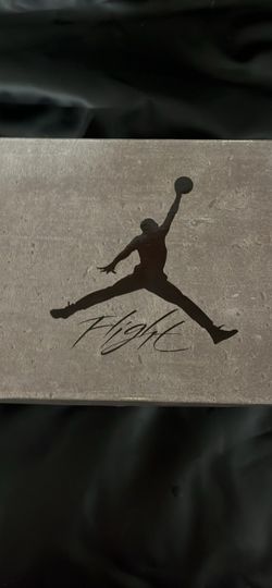 Air Jordan 4 Retro cave stone