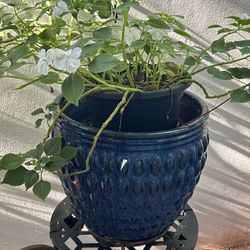 Pair Of Blue Ceramic  Pots /  Planters.   Medium Size