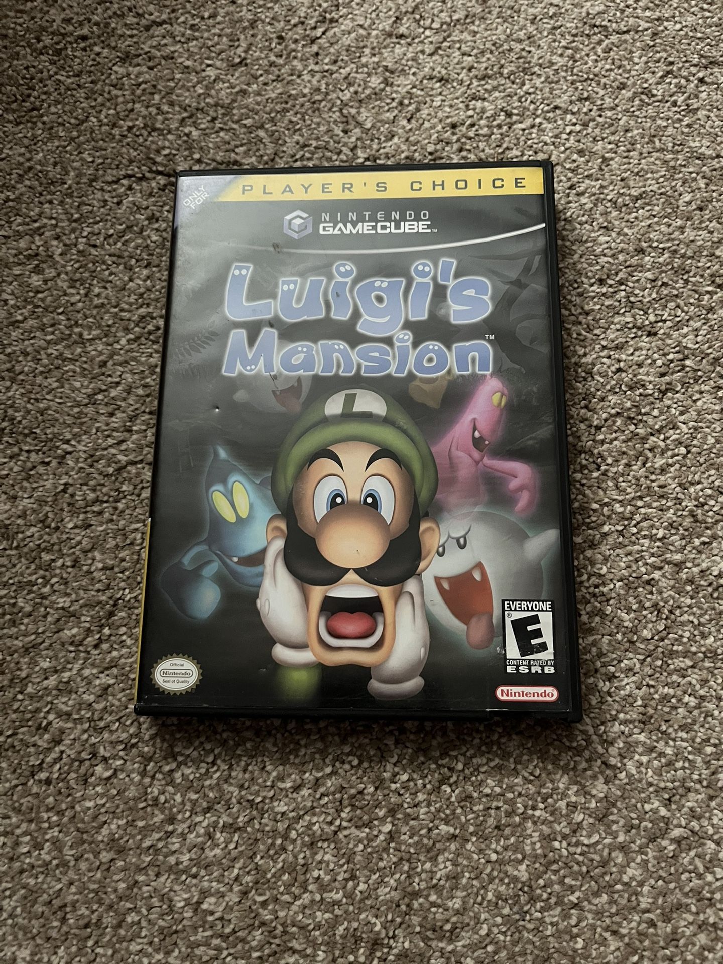 Luigi’s Mansion