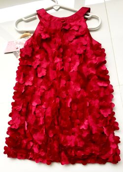 Biscotti Red Flower Dress Size 3T