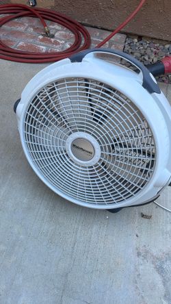 Fan