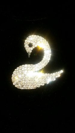 Chrystal broach! New!