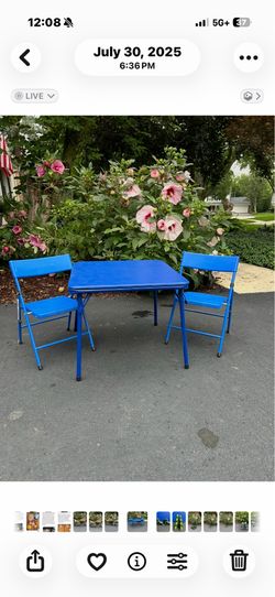 Kid’s foldable table and Chairs