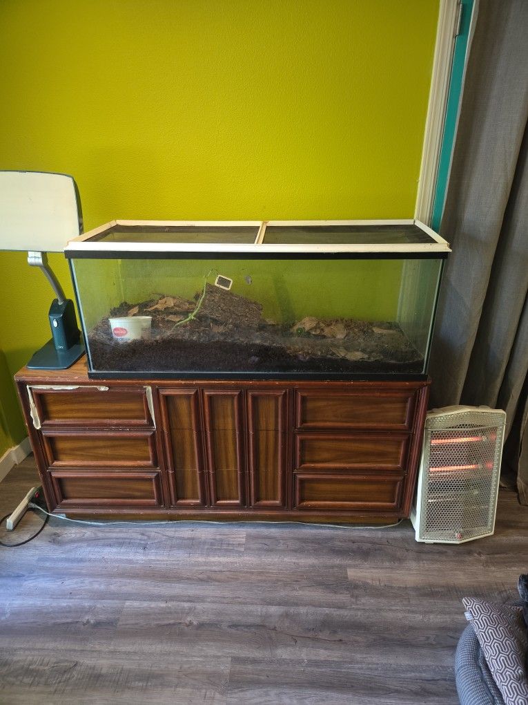 100 Gallon Terrarium / Aquarium