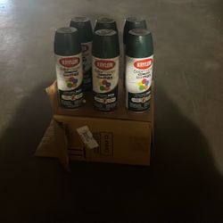 Spray Painters Hunter Green