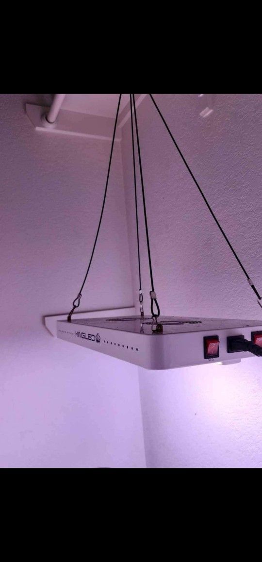 (NEW) King LED Grow Light - 4000w 