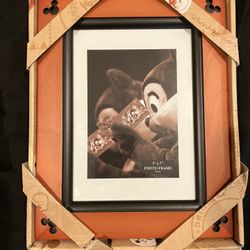 Disney Picture 5x7 Frame