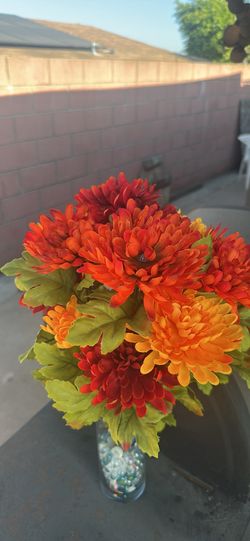 Autum / Fall Flowers