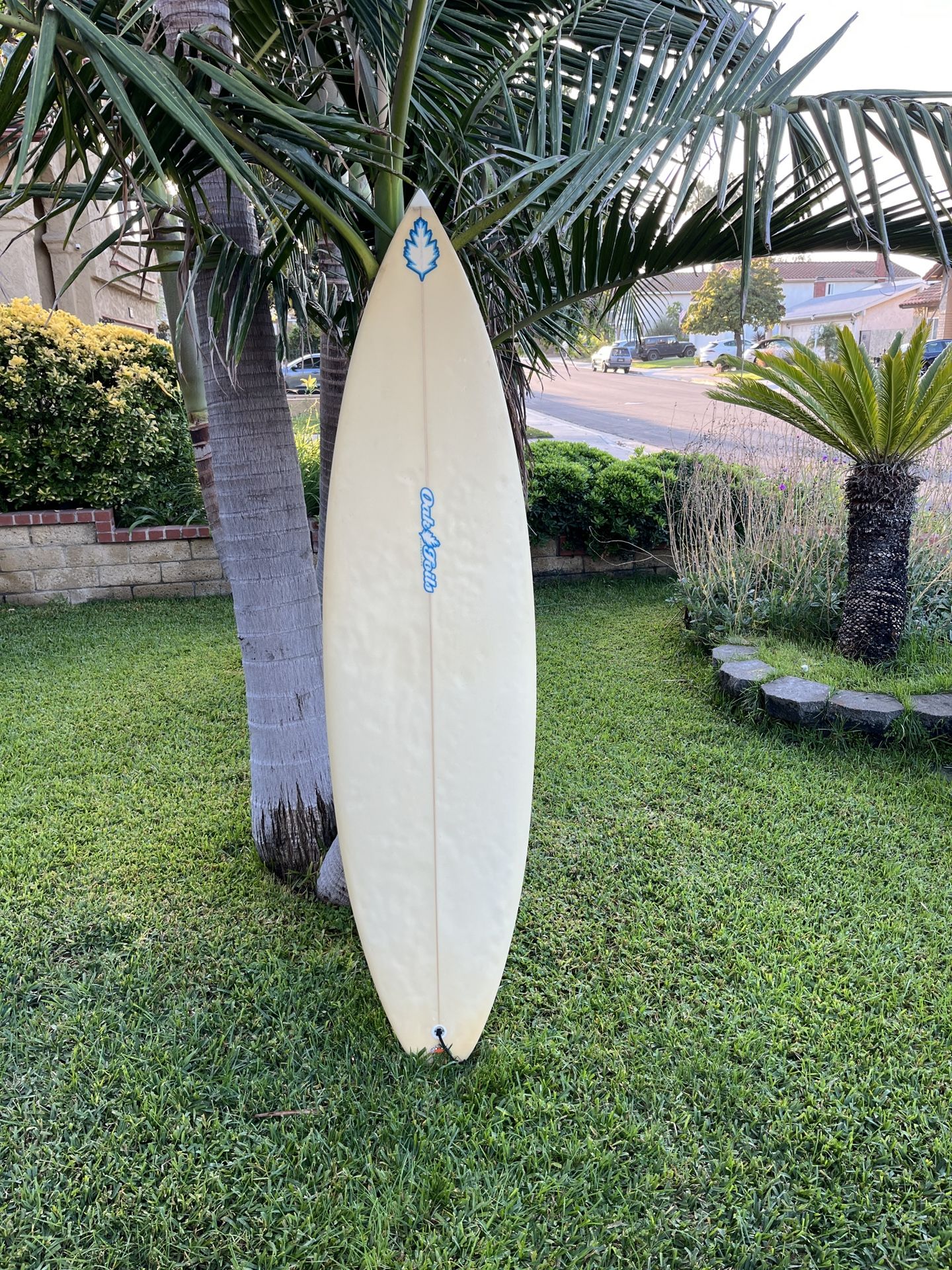 Surf Board
