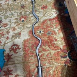 Olympic Curl Bar 