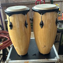 Dos Congas Muy Buenas Conditioned 
