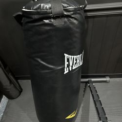 Everlast 40lbs Boxing Bag