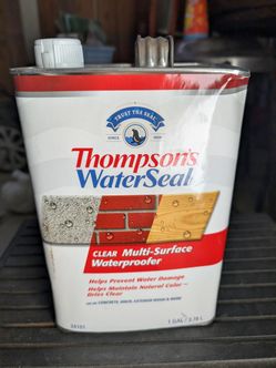 Thompson's WaterSeal Clear Multi-Surface Waterproofer 1 Gallon