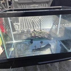 Turtle Tank Setup