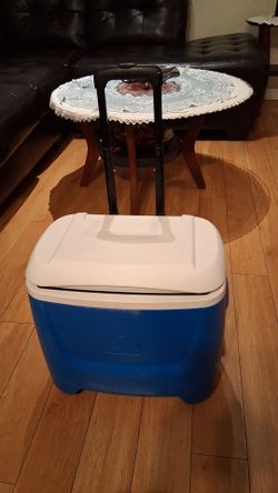 igloo coolers