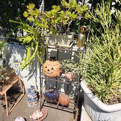 3 Level Over 4 Foot Plant Stand 