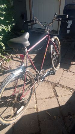 10 Speed Antique BIKE DRIVES SMOOTH.  Gears Shift Smooth 