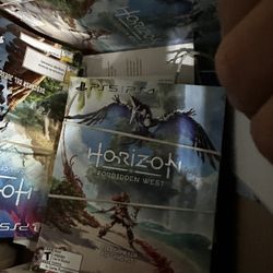 PSVR 2 Horizon Game