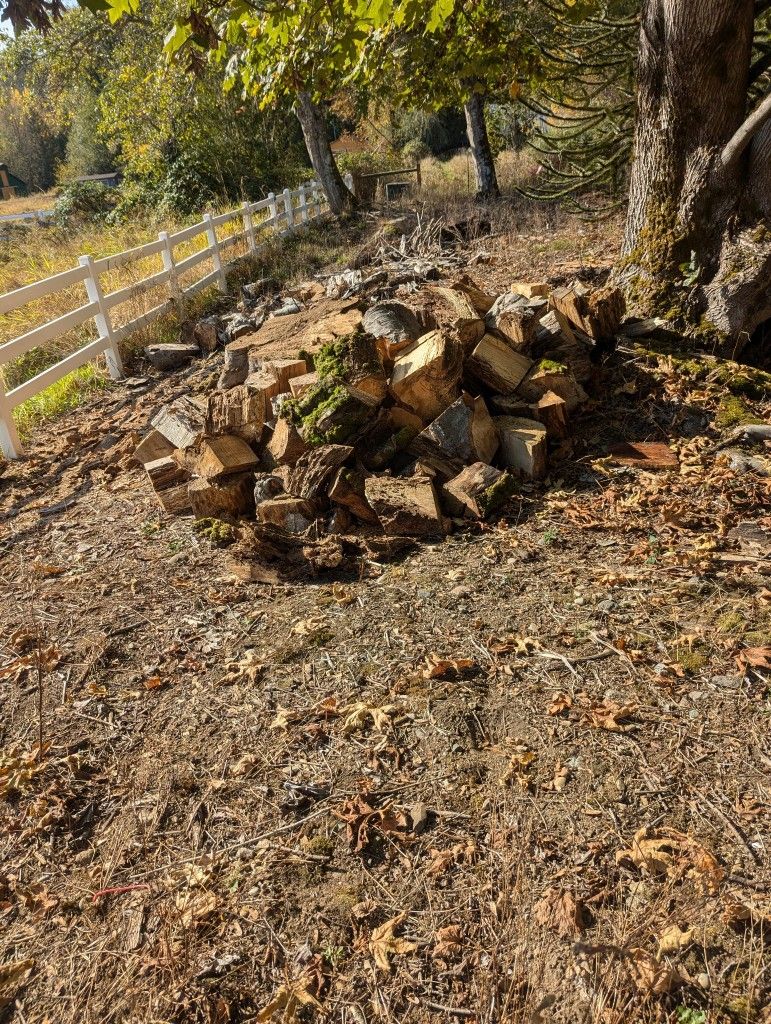 Free Firewood