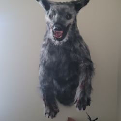 Mythical Creature Taxidermy