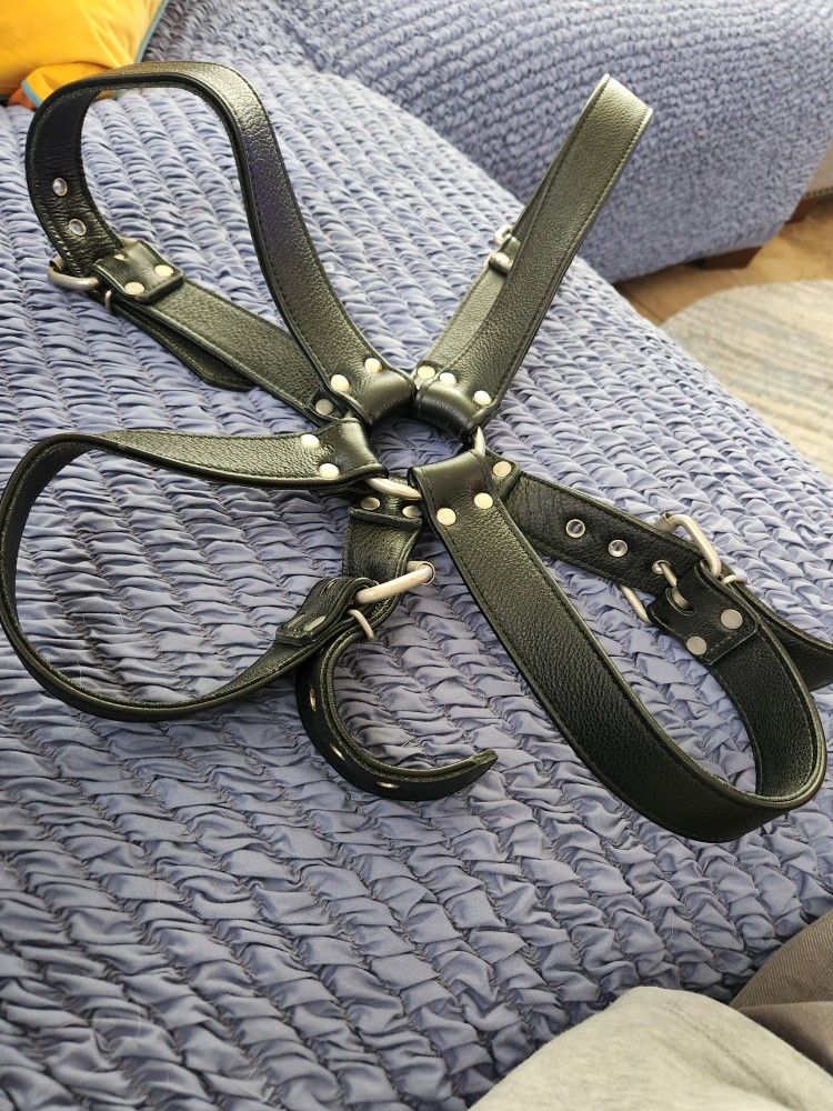 Leather Harness