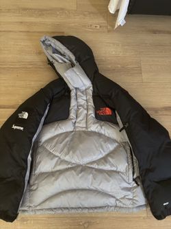 Supreme 800 fill north face