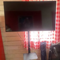 TV With Stand 