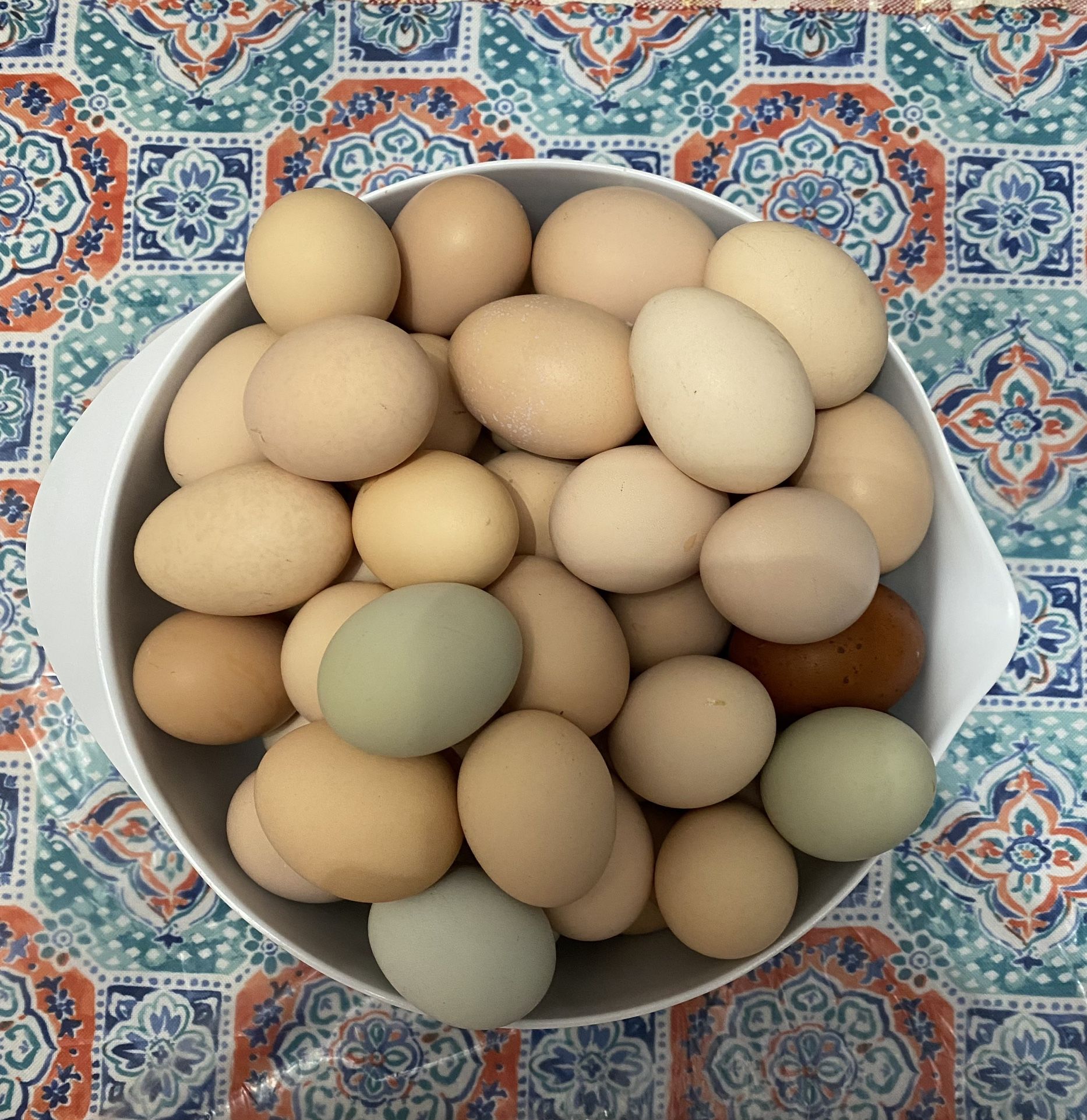 Range Chicken Eggs