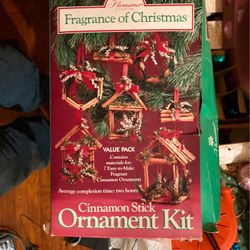 Cinnamon stick ornament kit