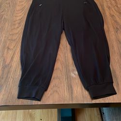 Torrid Jogger Style Pointe Pants