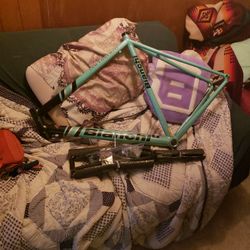 Bianchi San Lorenzo Road Bike Frame