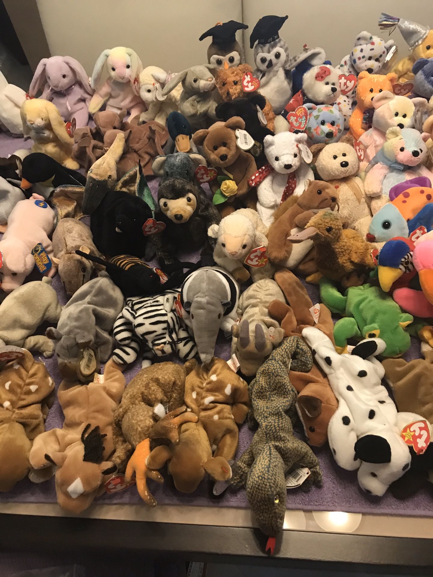 Beanie baby’s LOT of 72 total