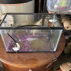 Fish Tank