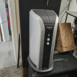 Roland Mini Amp,  Pm-03, Good Condition