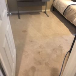 Carpet clean ,stretch,air ducts