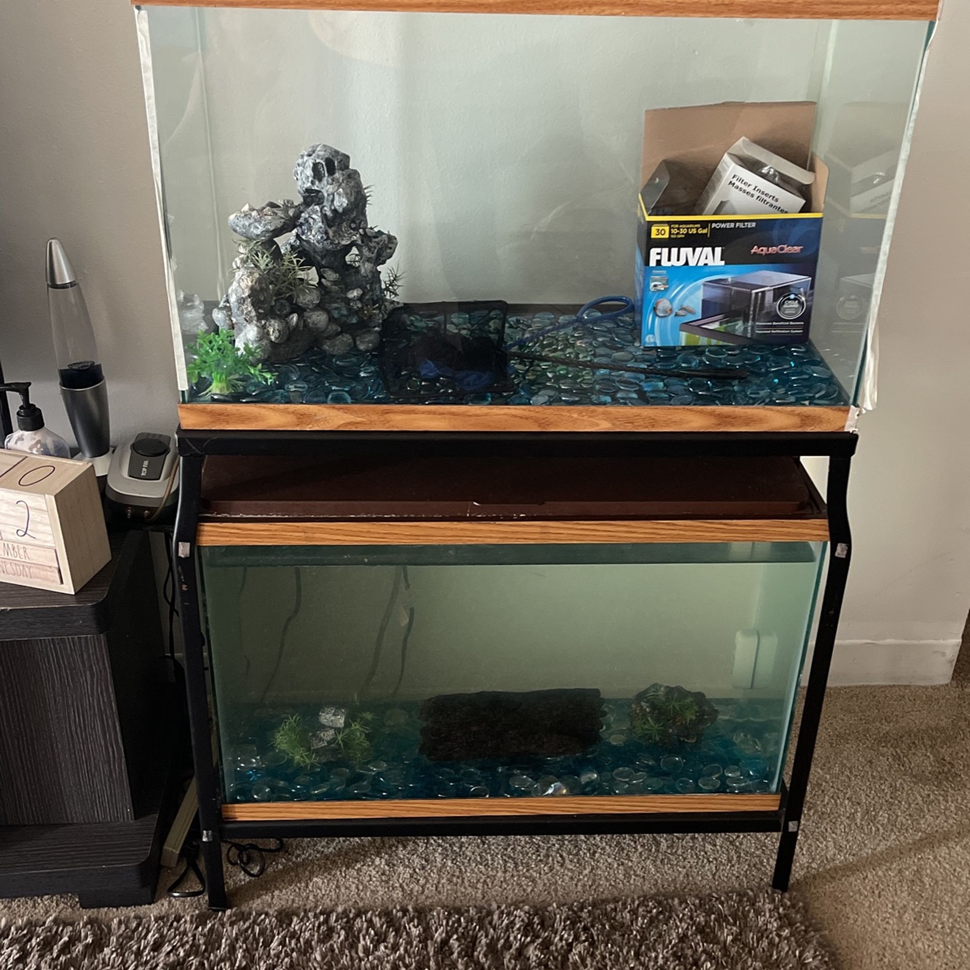 39gallon Tank 