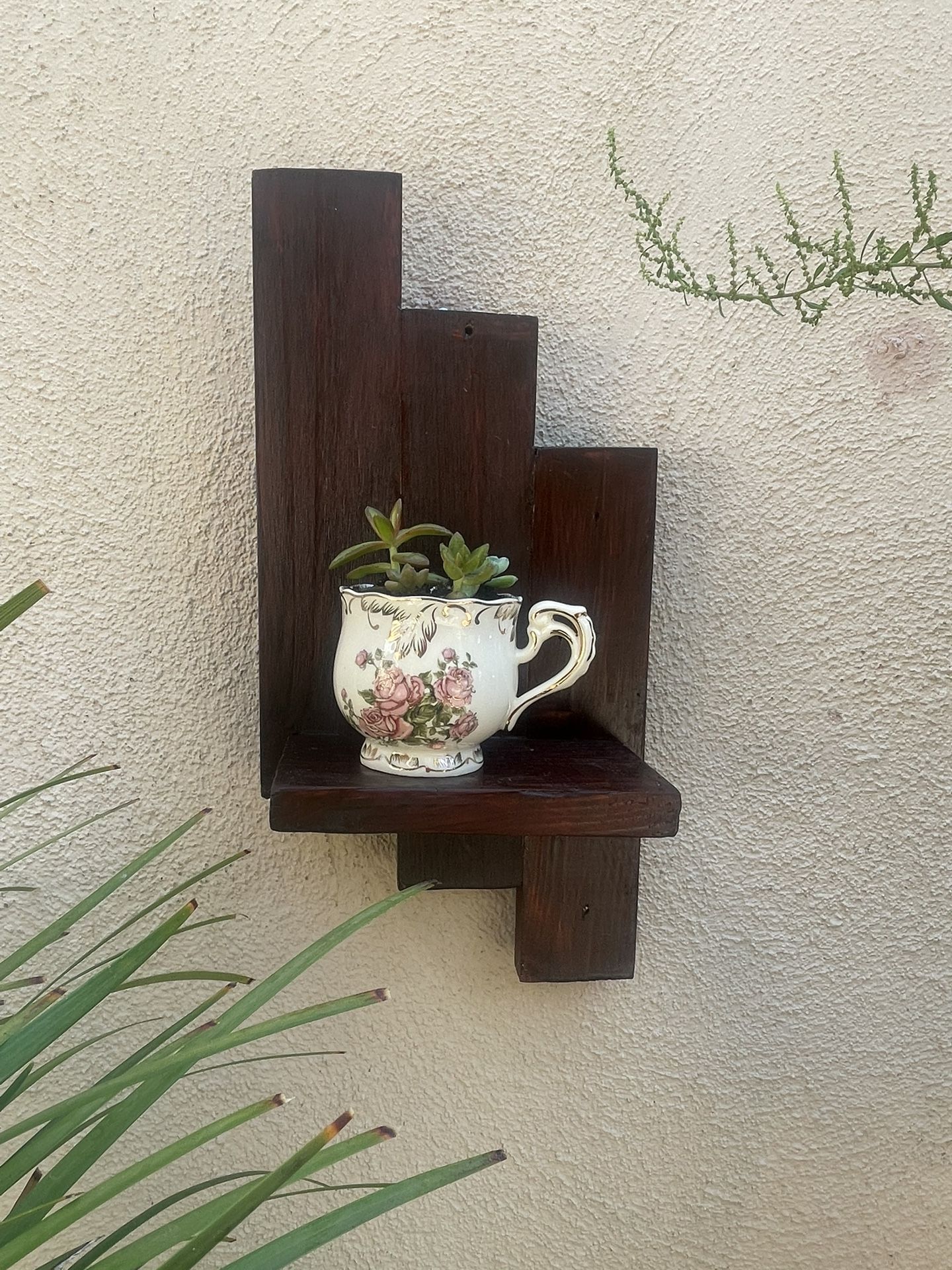 shelf with real succulents