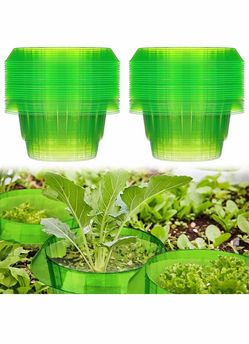 Plant Grow Rings – 15 or 30 Pack – New