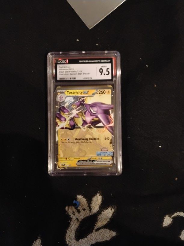 2024 Illustration Contest 9.5 Slab