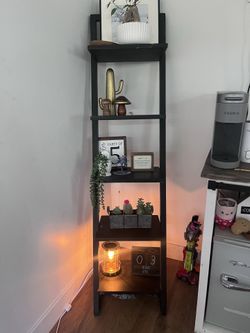 Black 5 ladder book shelf