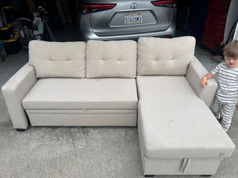 Beige Sleeper Sectional Sofa with Bed Pullout & Storage Chaise