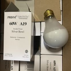 Light Bulbs