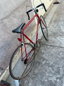 Vintage road bike.  Signet Centurion