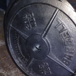 45lb Pair Olympic Weights 

PRICE FIRM