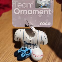 Team Ornament TARPONS 