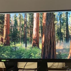 monitor