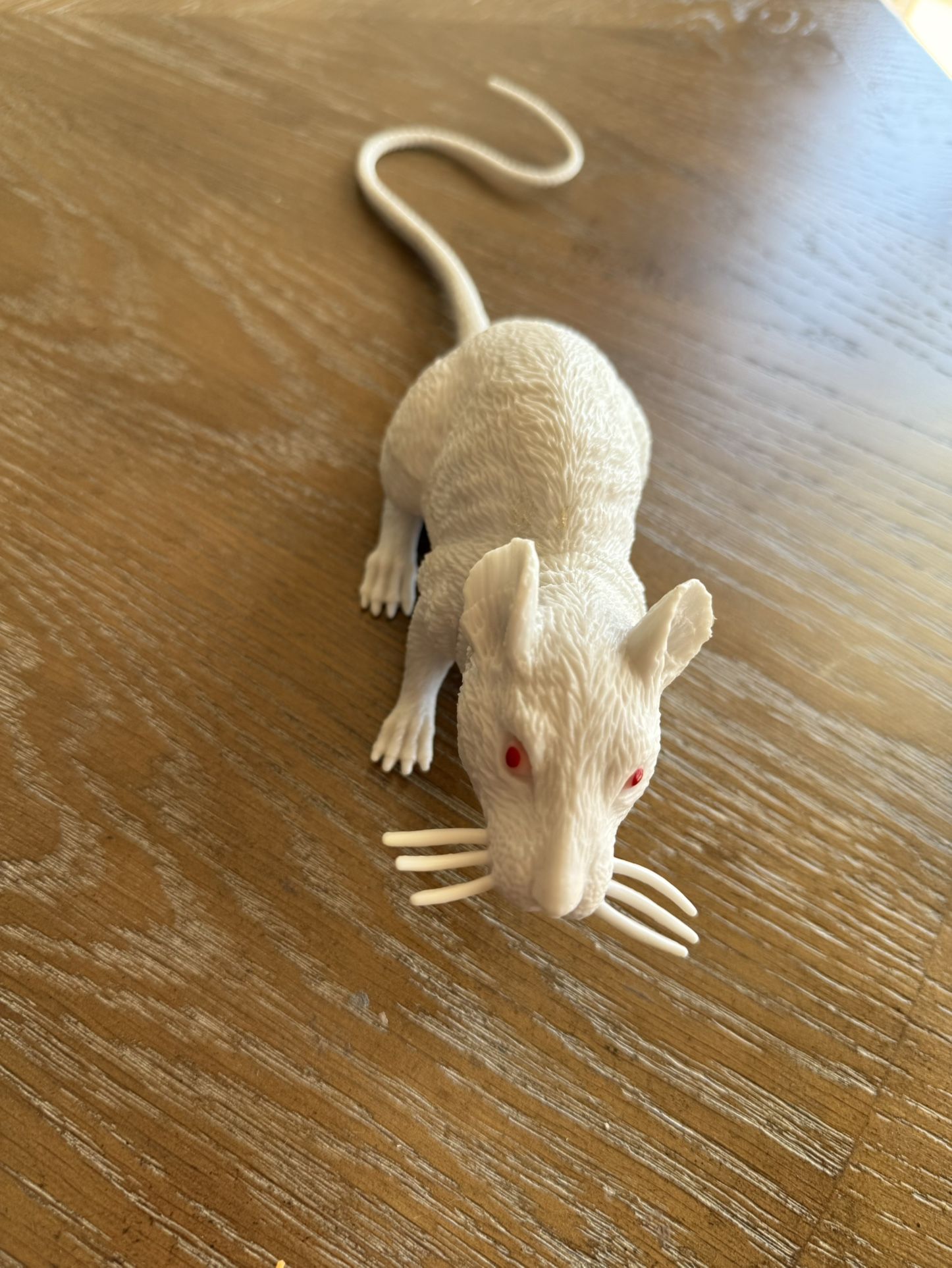 Plastic Rat